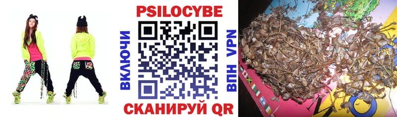 KRAKEN ссылки  Зима  площадка Telegram  Псилоцибиновые грибы мицелий 